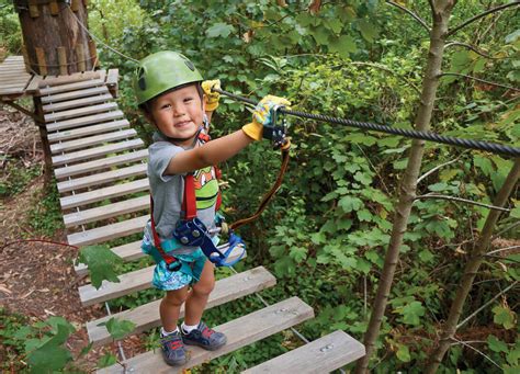 Tree Ropes Course